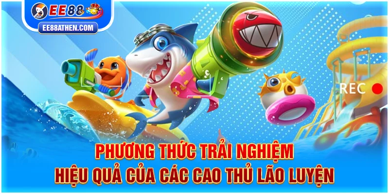 Phương thức trải nghiệm hiệu quả của các cao thủ lão luyện